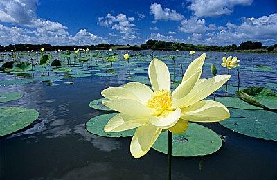 KK对战平台将闪现CJ2023！现场瓜分万元奖金池！